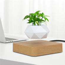 Load image into Gallery viewer, Levitating Air Bonsai Pot Flower Pot Planters Magnetic Suspension Pot