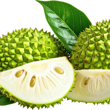 Load image into Gallery viewer, Dehydrated Soursop Fruit