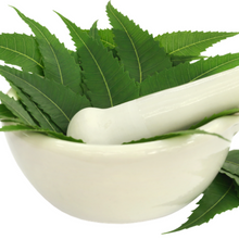 Load image into Gallery viewer, Neem Leaf