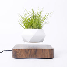 Load image into Gallery viewer, Levitating Air Bonsai Pot Flower Pot Planters Magnetic Suspension Pot

